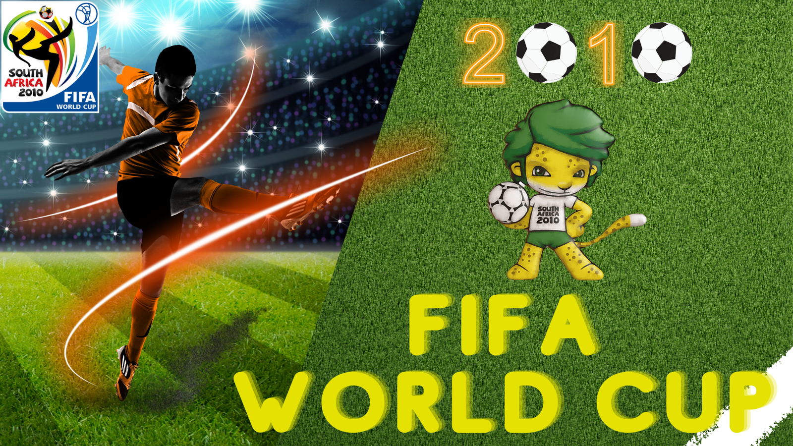 Fifa world cup 2010